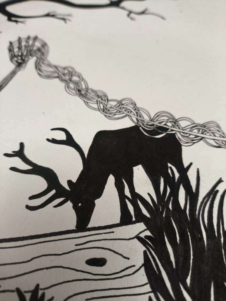 photo 2026 03 26 11 12 27 (8)