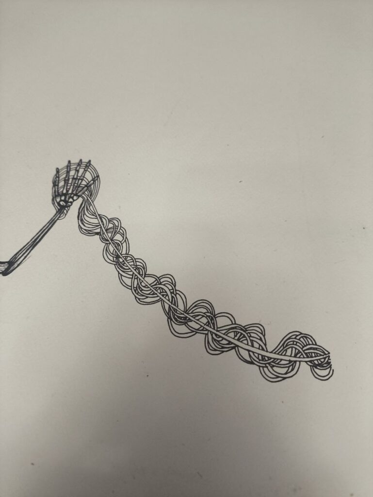 photo 2026 03 26 11 12 28 (3)